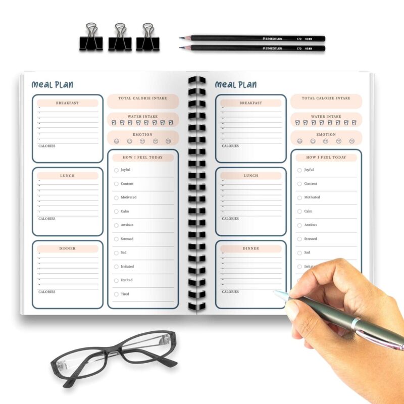 A6 Meal Planner Insert digital download in use with bullet journal