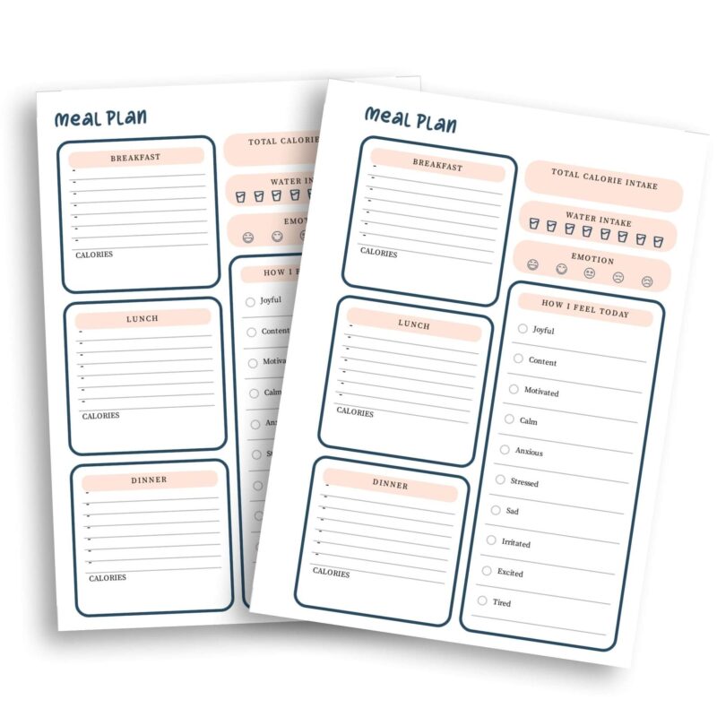 A6 Meal Planner Insert digital download in use with bullet journal