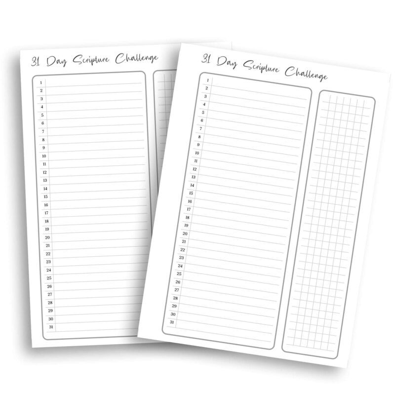 31-Day Bible Scripture Challenge Planner Insert in A5 planner