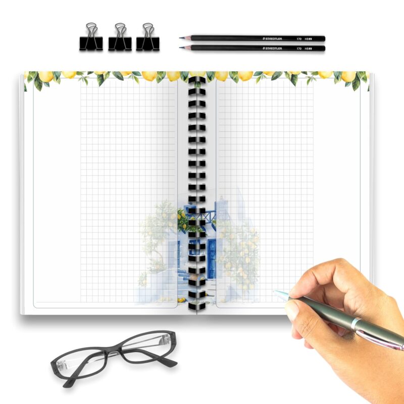 Fresh citrus border on Mediterranean Grid Notes