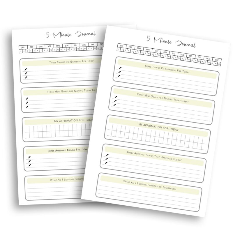 Daily gratitude and reflection insert page
