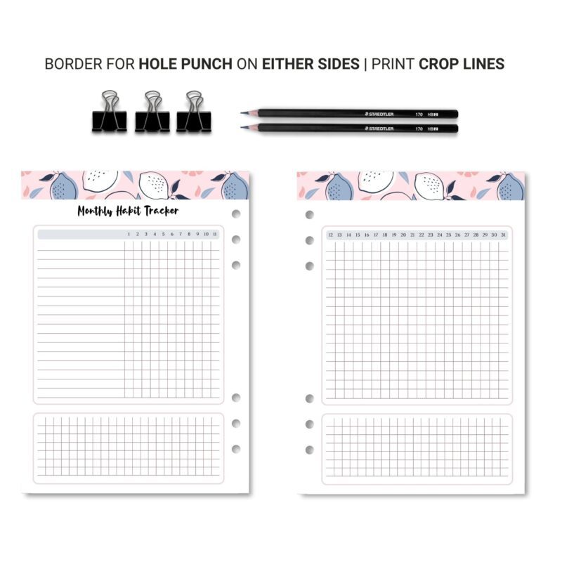 Flat lay of A5 habit planner page with pen