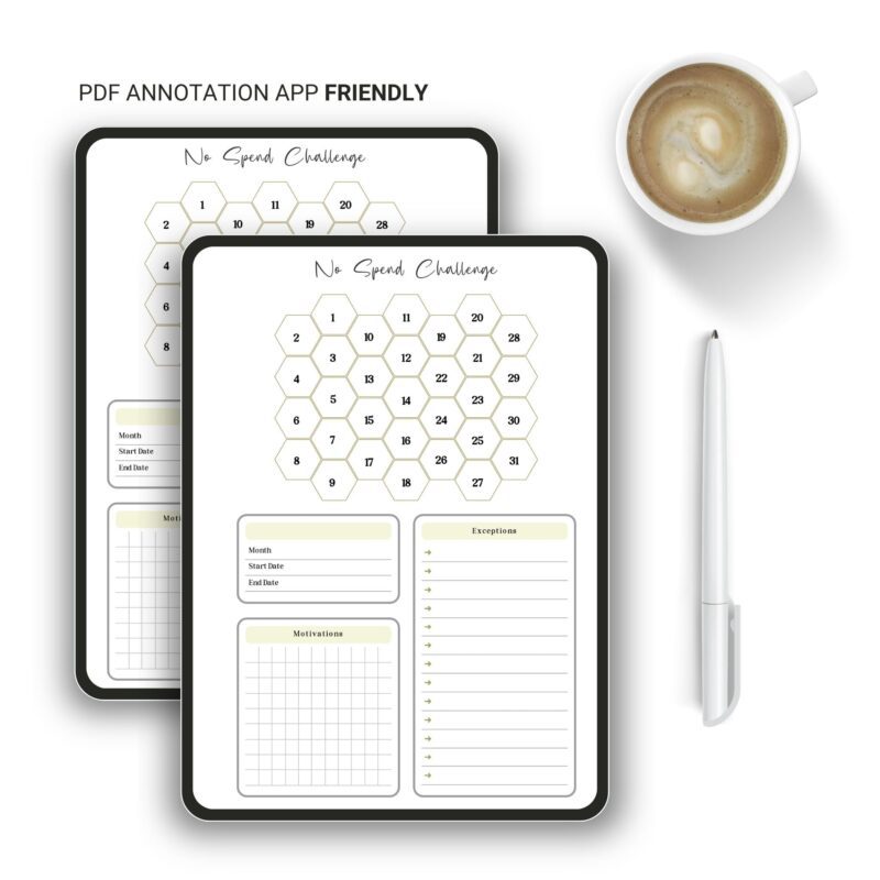 Financial planning insert showing daily tracking