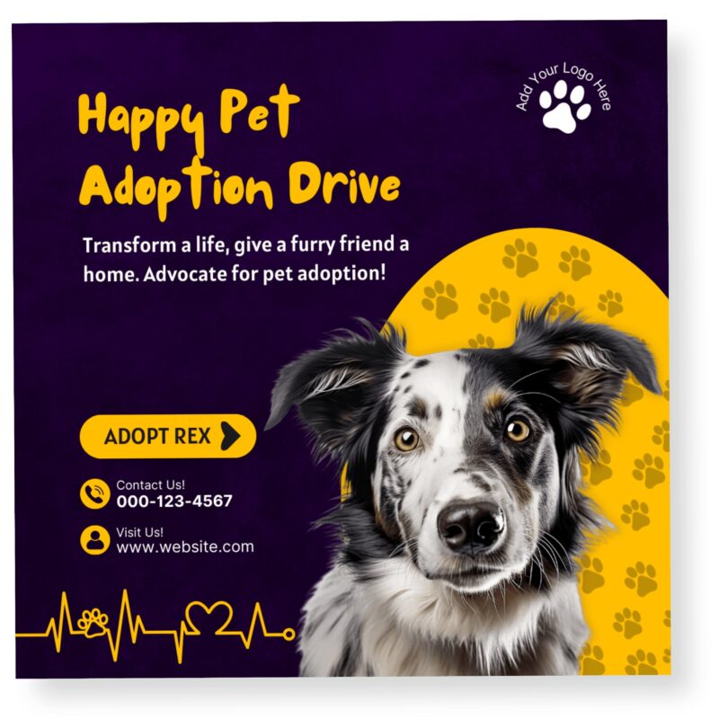 Pet Adoption Instagram Template Canva editable