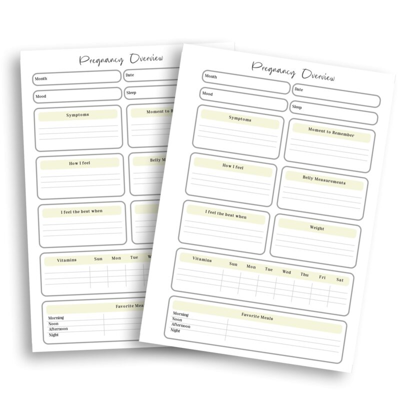 Printable pregnancy overview planner